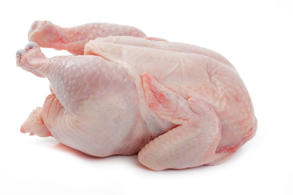 600e5e0cba19316f6bdeece2f9f592d2 Wholesale Frozen Whole Chicken